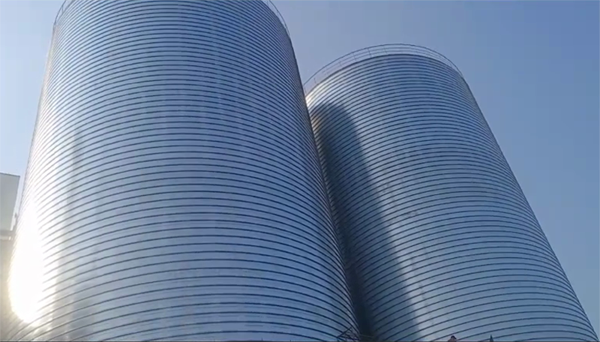 日照2座混凝土高架卷板仓